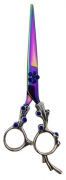 Fancy Barber Scissors