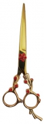 Fancy Barber Scissors