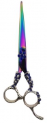 Fancy Barber Scissors