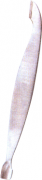 Nail Pushers & Files