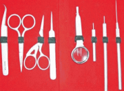 Quiling Tool