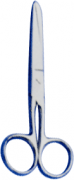 Tailor Scissors